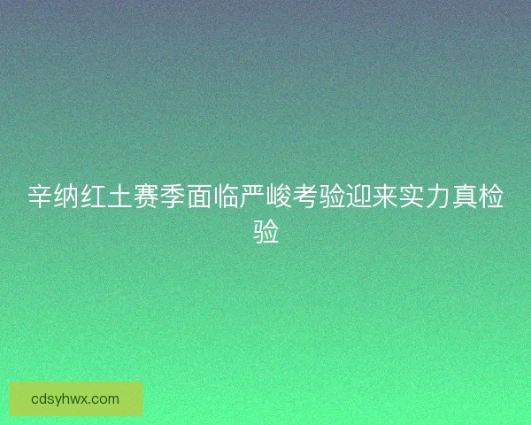 辛纳红土赛季面临严峻考验迎来实力真检验